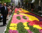 毎年昭和の日に行われる恒例行事、銀座みゆき通りフラワーカーペット花祭りに参加