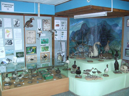 郷土博物館の展示室
